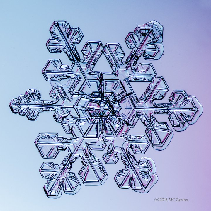 More Snowflakes, January 2016