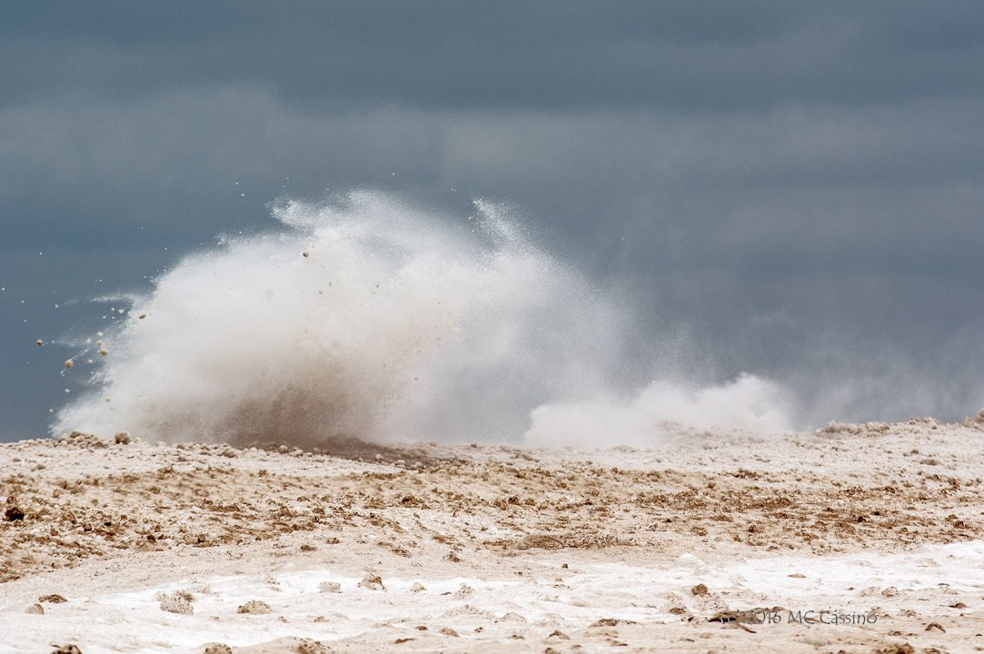 High Surf at South Haven