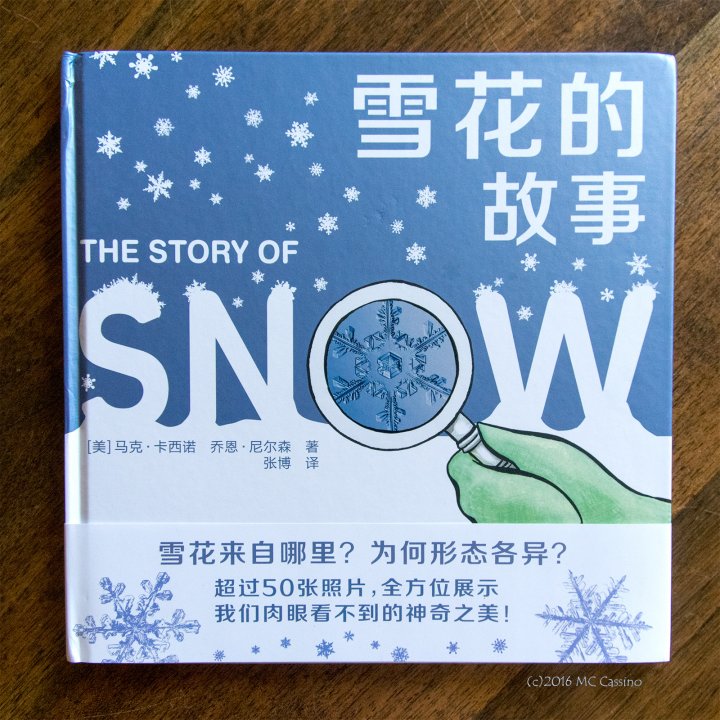 Story of Snow - Simplified Chinese Edition