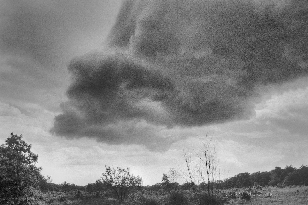 Storm Clouds on the Oak Savanna