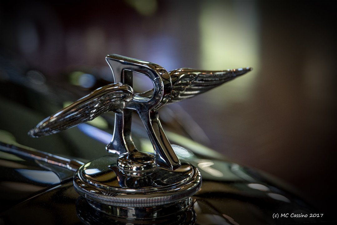 Hood Ornaments