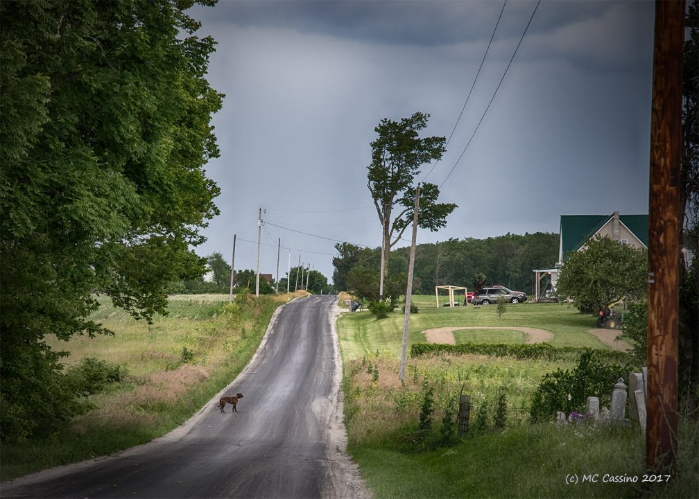 Near Ruple-Union Cemetery