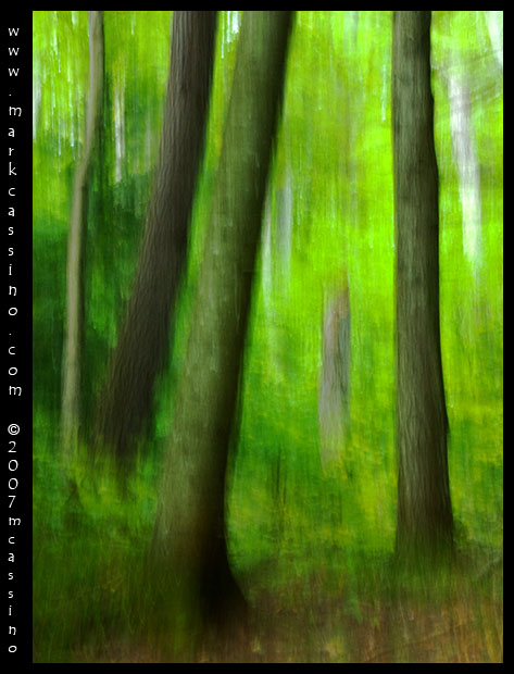 Forest Abstractions Forest Abstractions