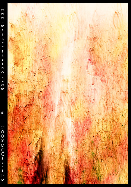 The Element Fire The Element Fire
