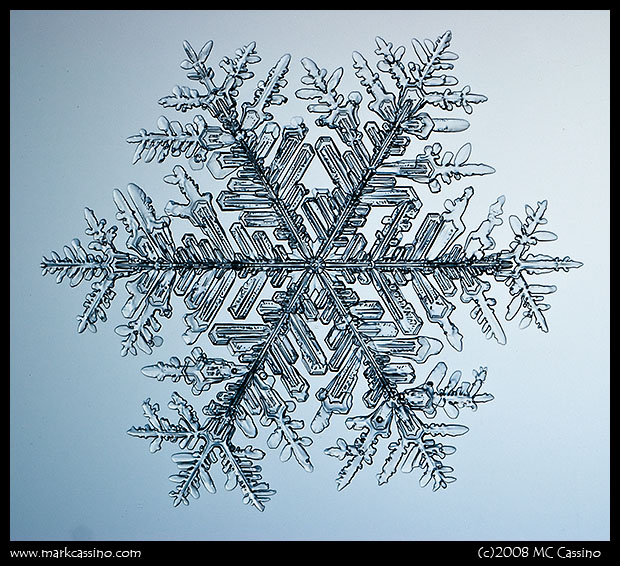 Snowflake Photograph Snowflake Photograph