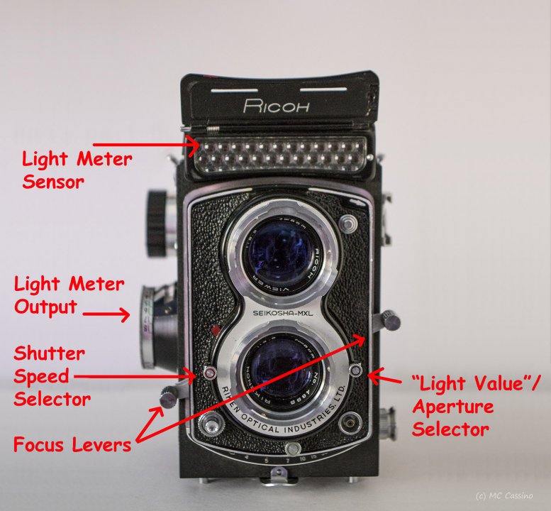 Hands On With the Ricoh Diacord L TLR