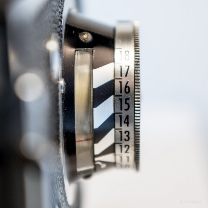 Hands On With the Ricoh Diacord L TLR