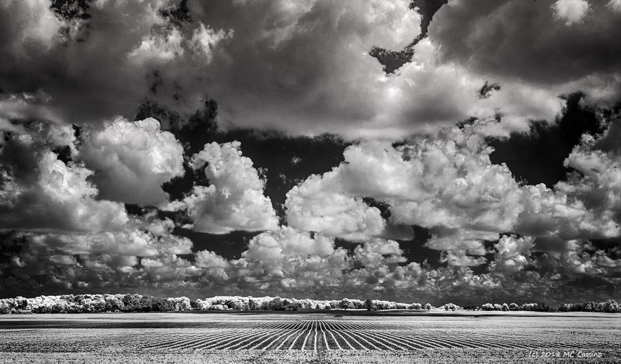 Maryland Federation of Arts American Landscapes 2019