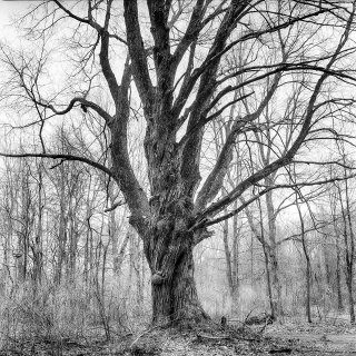 &quot;Seeking Beauty&quot; Group Exhibit