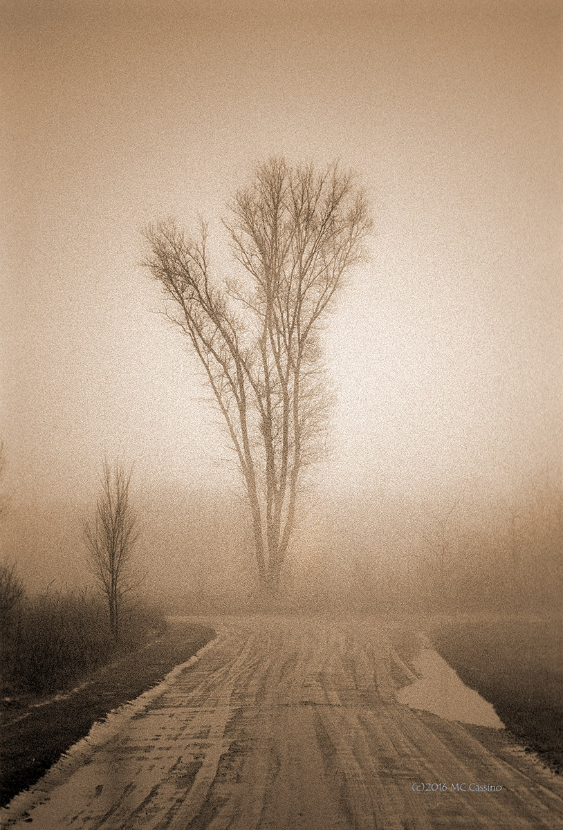 Muddy Back Roads Signature Artists Gallery 2016
