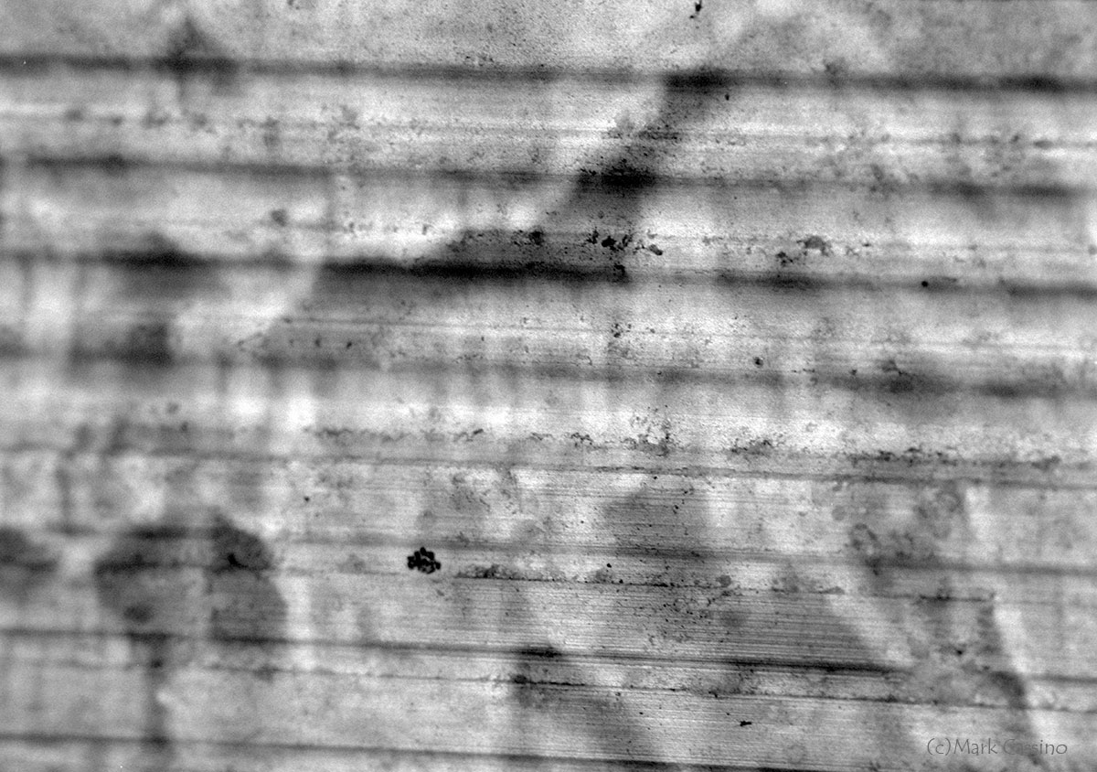 Abstract Photos