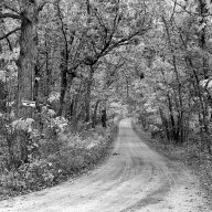 The Back Roads