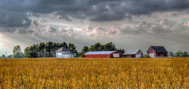 The Back Roads