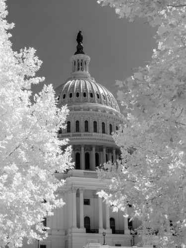 Washington D.C. In Infrared