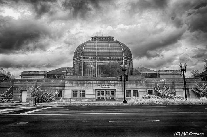 Washington D.C. In Infrared