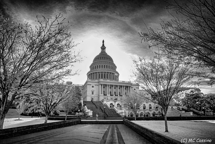 Washington D.C. In Infrared