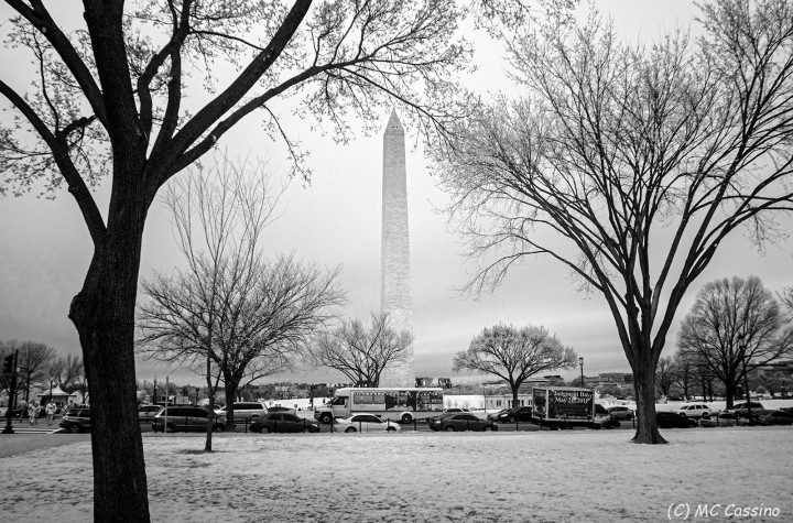 Washington D.C. In Infrared