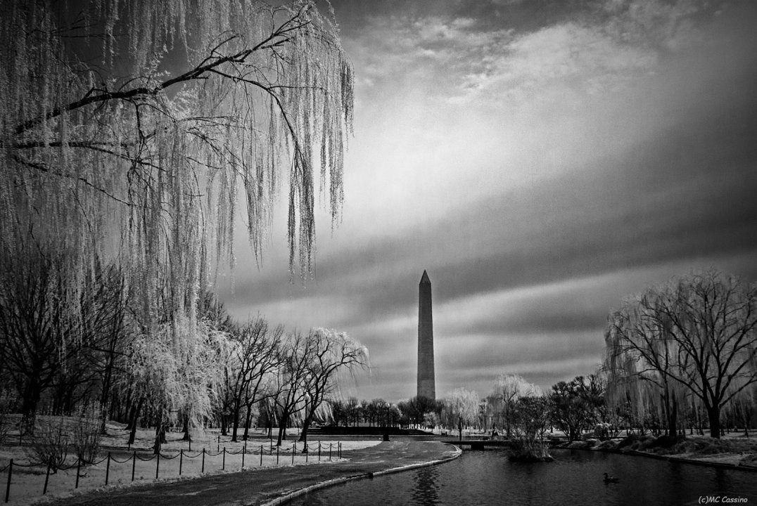 Washington D.C. In Infrared