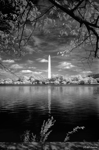 Washington D.C. In Infrared