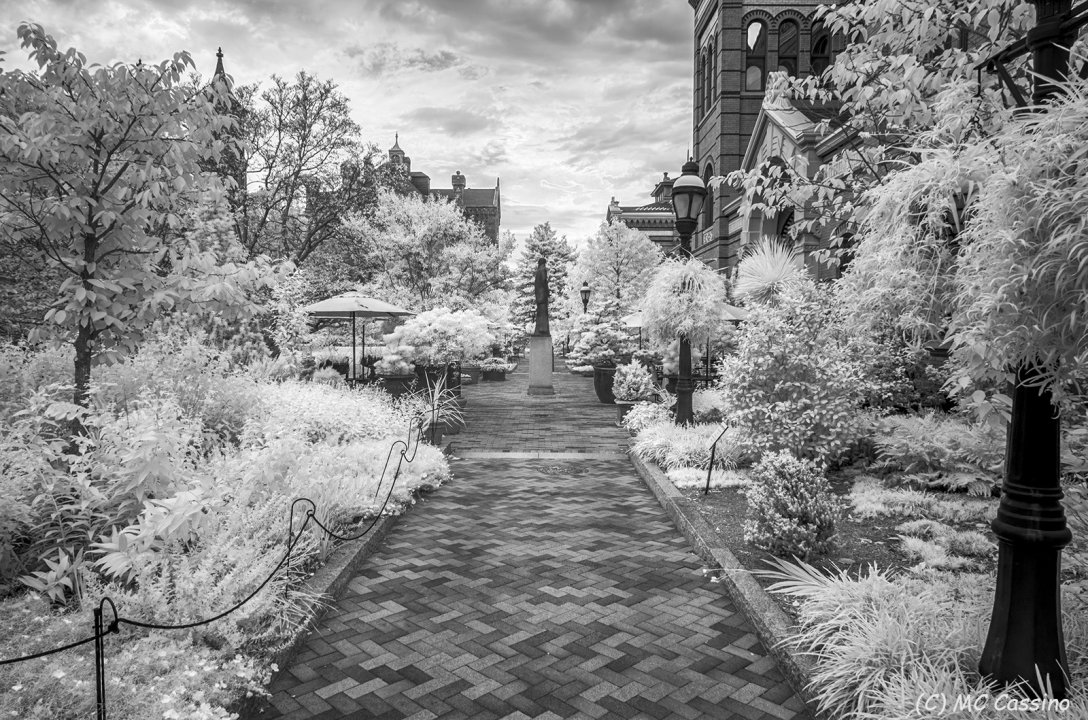 Washington D.C. In Infrared