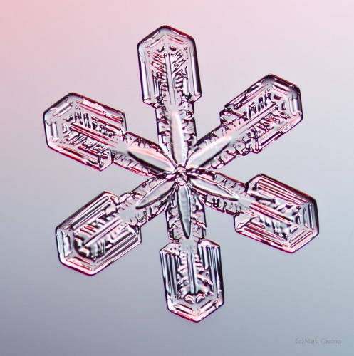 100 Snowflake Photos