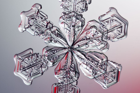 High magnification photo on af actual snowflake / snow crystal.
