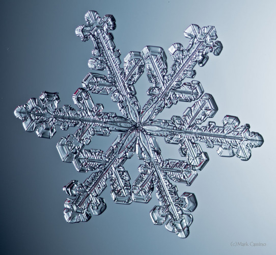 100 Snowflake Photos