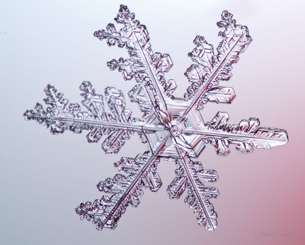 100 Snowflake Photos