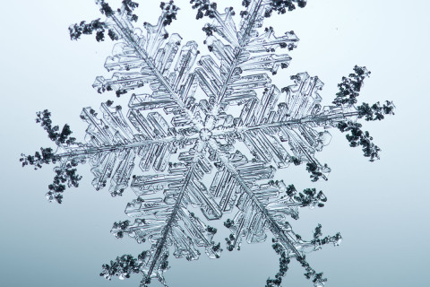 High magnification photograph of a real snowflake / snow crystal.