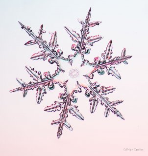 100 Snowflake Photos