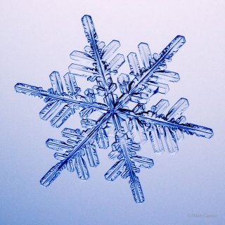100 Snowflake Photos