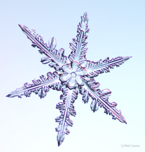 100 Snowflake Photos