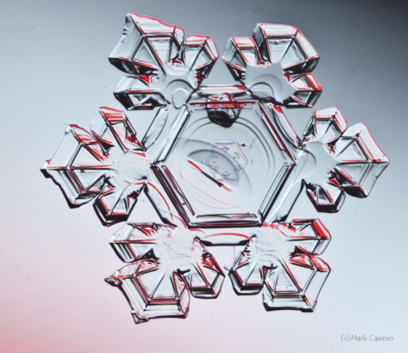 100 Snowflake Photos