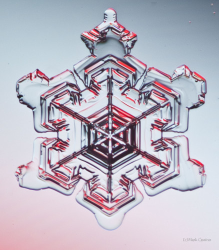 100 Snowflake Photos