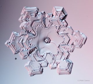 100 Snowflake Photos