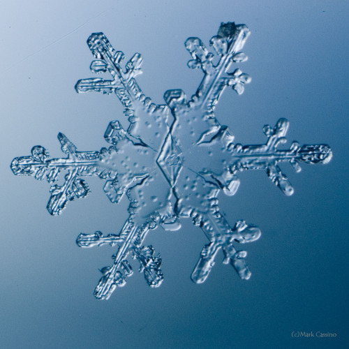 100 Snowflake Photos