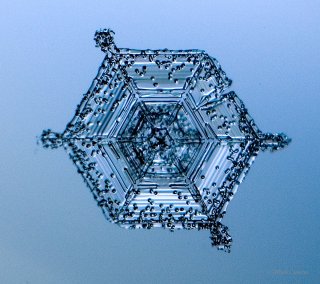 100 Snowflake Photos