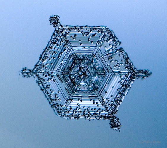 100 Snowflake Photos