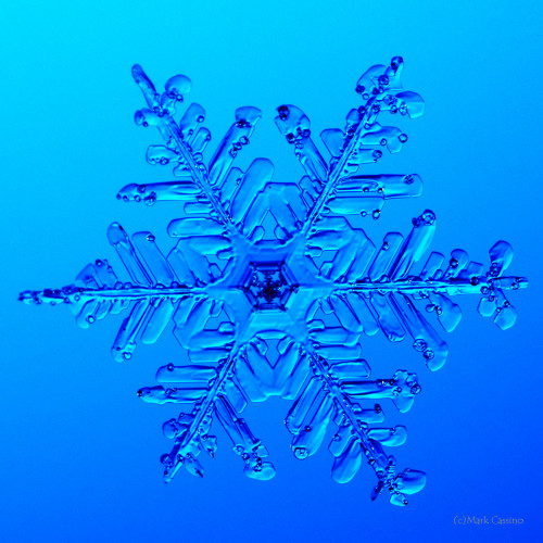 100 Snowflake Photos