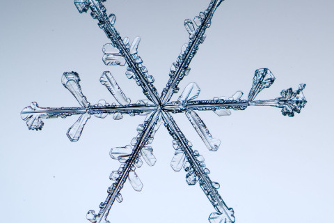 High magnification photo on an actual snowflake / snow crystal.