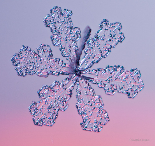 100 Snowflake Photos