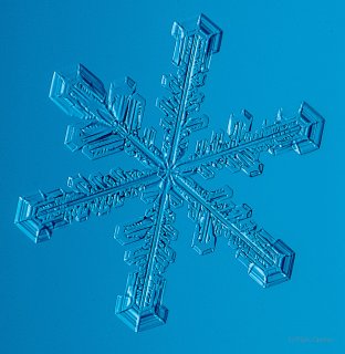 100 Snowflake Photos