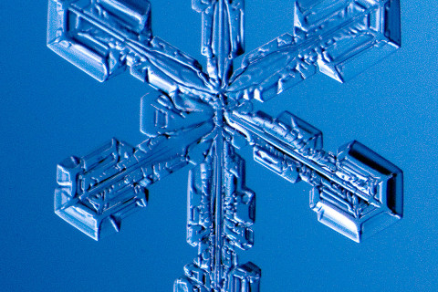 High magnification photo on an actual snowflake / snow crystal.