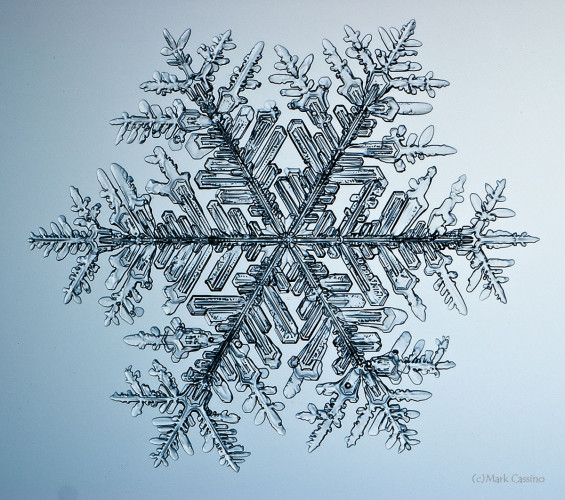 100 Snowflake Photos