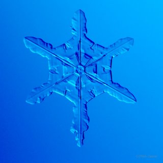 100 Snowflake Photos
