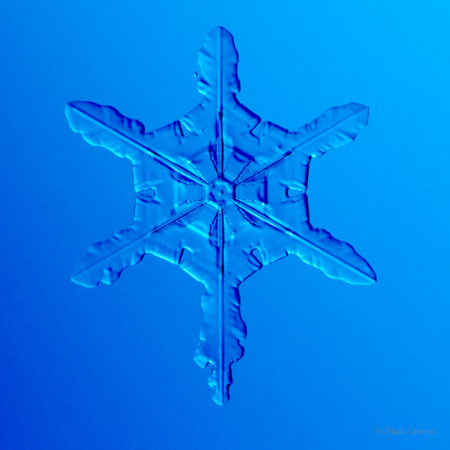 100 Snowflake Photos