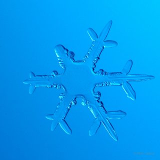 100 Snowflake Photos