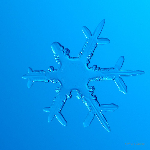 100 Snowflake Photos