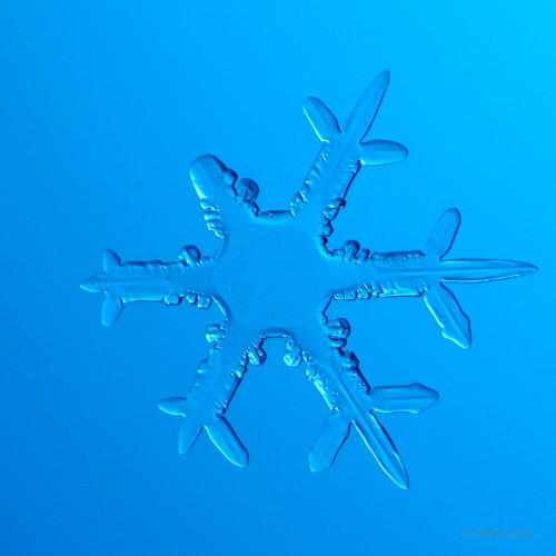 100 Snowflake Photos