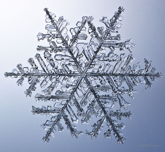 100 Snowflake Photos